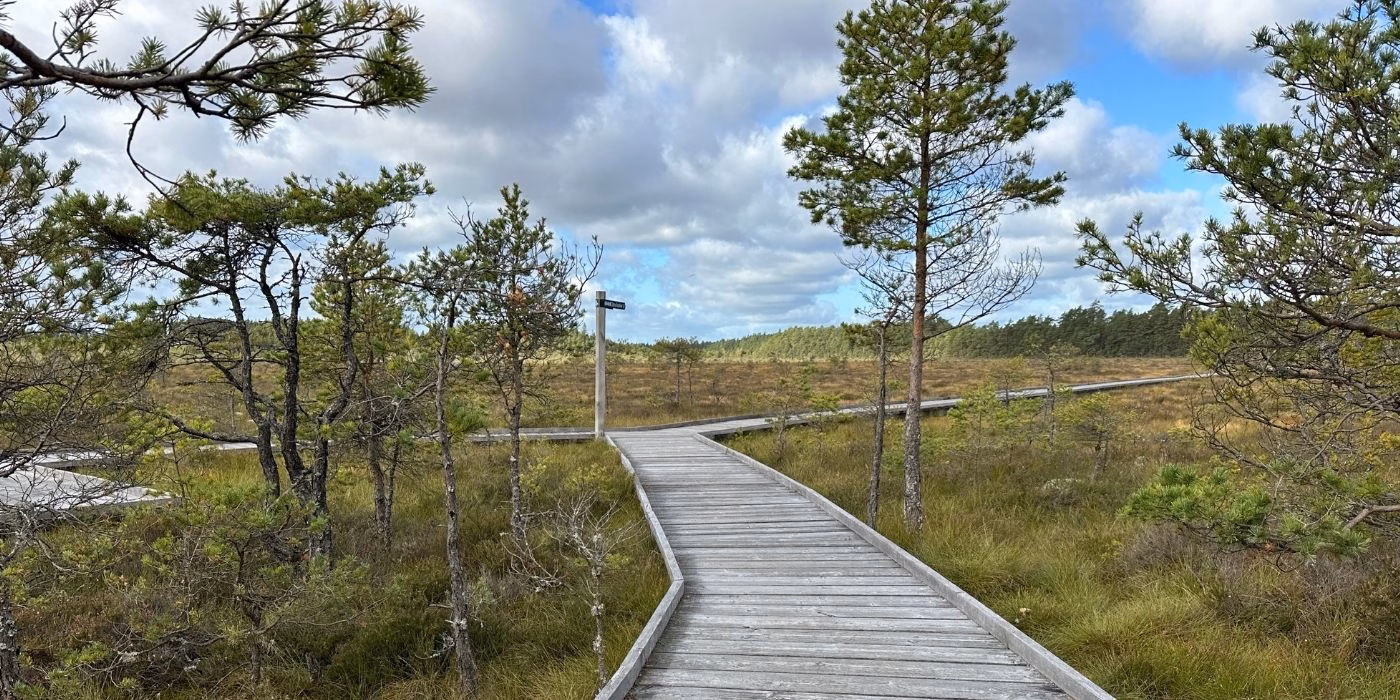 Nationaal Park Store Mosse